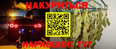 mdpv Гатчина