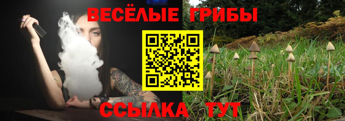 Галлюциногенные грибы Psilocybe  Псилоцибиновые грибы MAGIC MUSHROOMS  Вход с VPN  Карабулак 